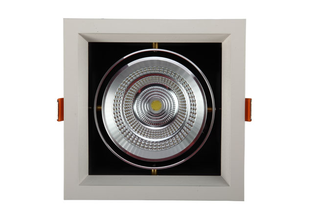 LED豆膽燈光源 LED豆膽燈光源