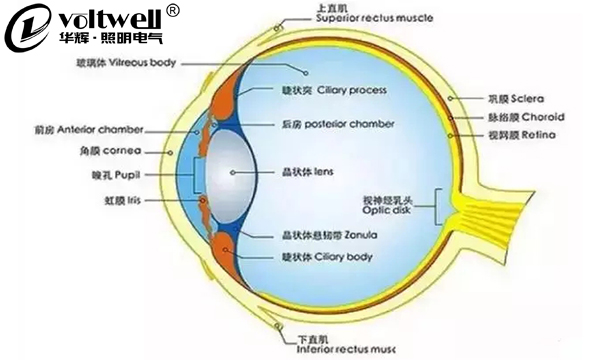 華輝照明最全的教室照明設計現(xiàn)狀及應用解析